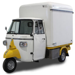 piaggio ape gebraucht verkaufswagen