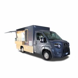 nv food truck usato